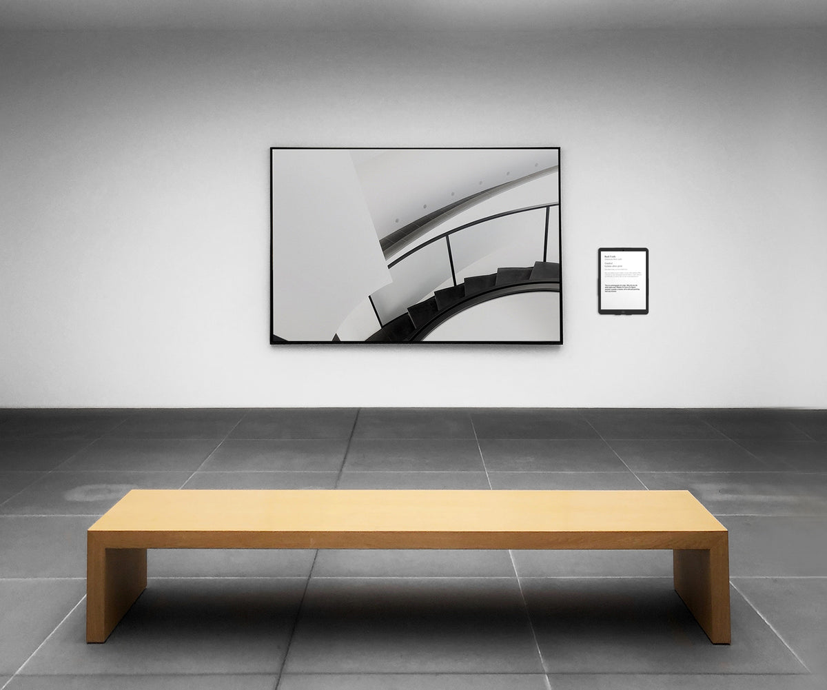 my wall Wandhalter für Tablets mit Diebstahlschutz (HT 37 L)